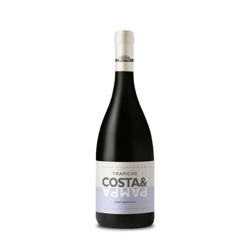 VINO COSTA Y PAMPA PINOT NOIR x 750 CC