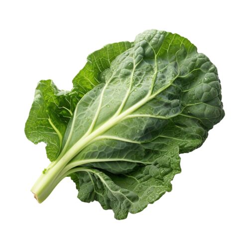 BOLSA DE ACELGA MC x UNIDAD