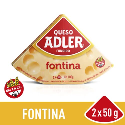 QUESO ADLER TRIANGULO FONTINA x 100 GR
