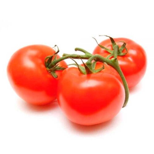 TOMATE  REDONDO x  KG