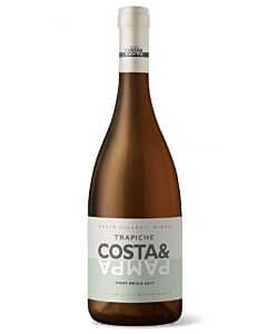 VINO COSTA Y PAMPA PINOT GRIS x 750 CC