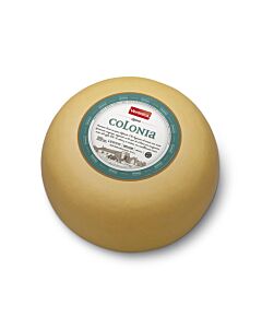 QUESO VERONICA COLONIA H x KG