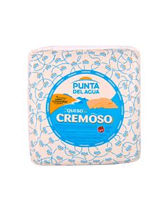 QUESO PUNTA DEL AGUA H x KG