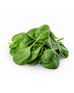 ALBAHACA PREMIUM x PAQUETE