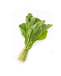 BOLSA DE ESPINACA MC x UNIDAD