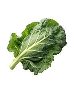 BOLSA DE ACELGA MC x UNIDAD