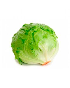 LECHUGA  ARREPOLLADA x  KG