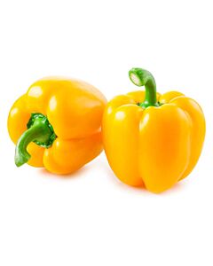 MORRON  AMARILLO x UNIDAD