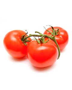 TOMATE  REDONDO x  KG