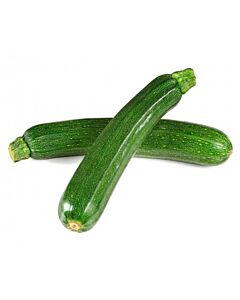 ZUCCHINI  x  KG
