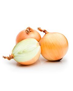 CEBOLLA  COMUN x  KG